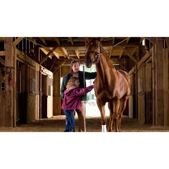 Dreamer - Inspired by a True Story (Full Screen Edition) - DVD - Picture 2 of 8